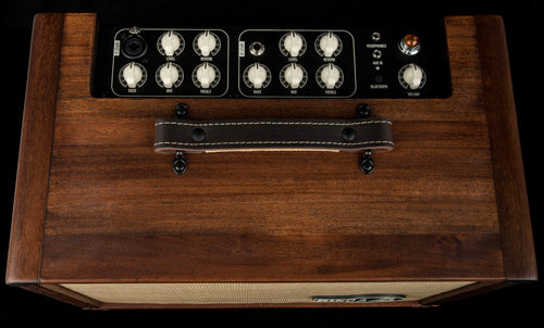 Taylor Circa 74 2-in-1 Acoustic Guitar / Vocal Amplifier + Amp Stand (Demonstration Model) #02759