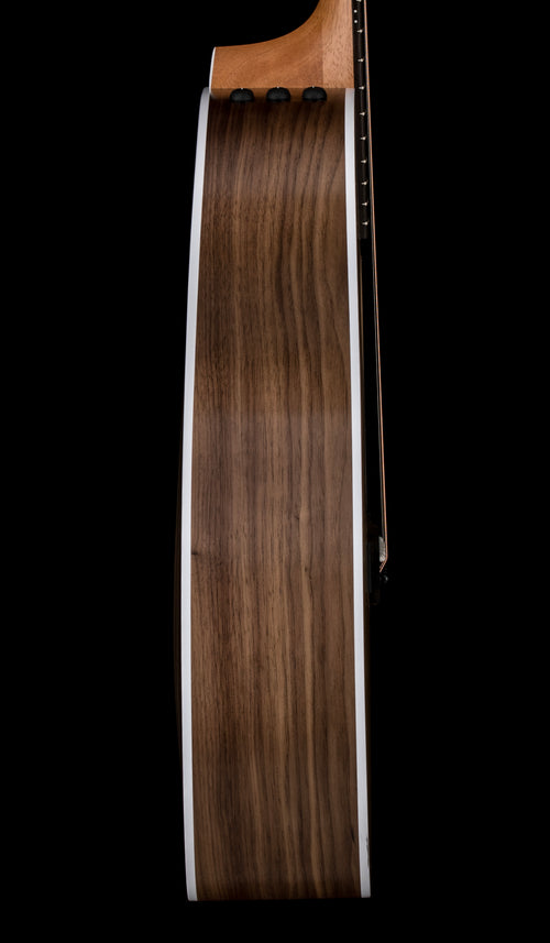 Taylor 214ce #06553 (Demonstration Model)
