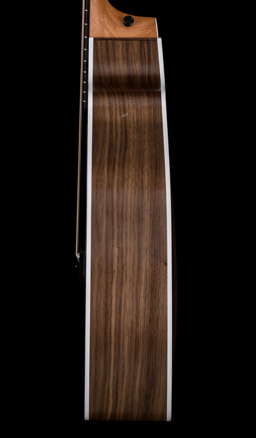 Taylor 214ce #06553 (Demonstration Model)