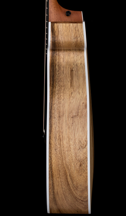 Taylor 214ce-K DLX #15377 (Demonstration Model)