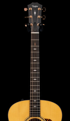 Taylor Custom Shop Select 318e #24100 (NAMM Demonstration Model)