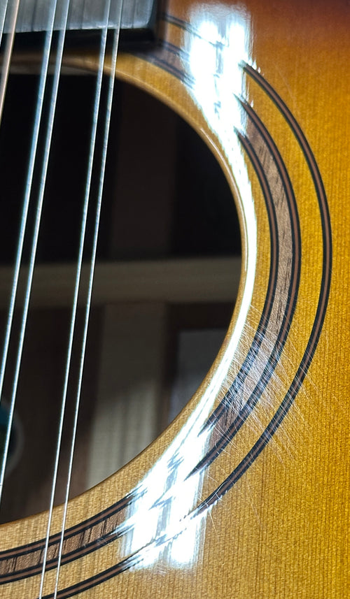 Used Breedlove Solo Pro Concert CE 12-String (2022) - Edgeburst #09948 with Original Hard Case