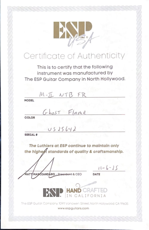 ESP M-II NTB FR USA - Ghost Flame #25642