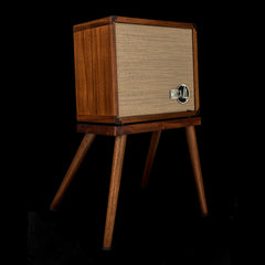 Taylor Circa 74 2-in-1 Acoustic Guitar / Vocal Amplifier + Amp Stand (Demonstration Model) #02771