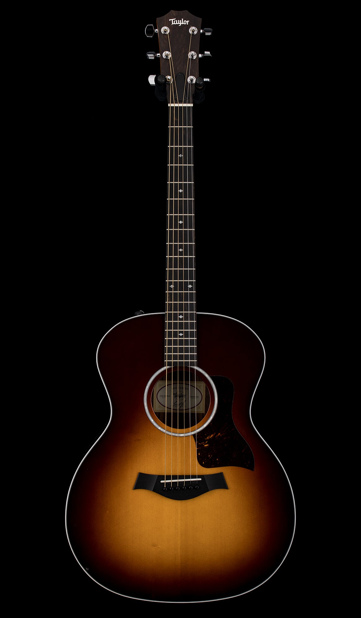 Used Taylor 214e-SB DLX (2023) #03326 with original Hard Case