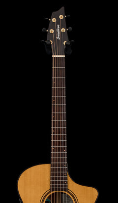 Used Breedlove Organic Performer Concert CE #06269 with Original Hard Case