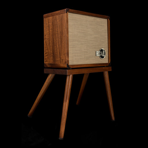 Taylor Circa 74 2-in-1 Acoustic Guitar / Vocal Amplifier + Amp Stand (Demonstration Model) #02759