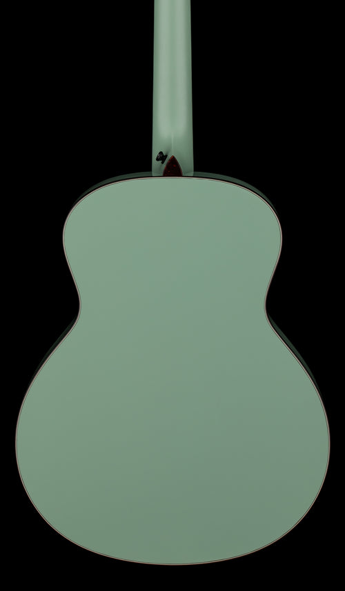 Taylor Custom Shop Gold Label C14e B6007 - Fern Green #76088