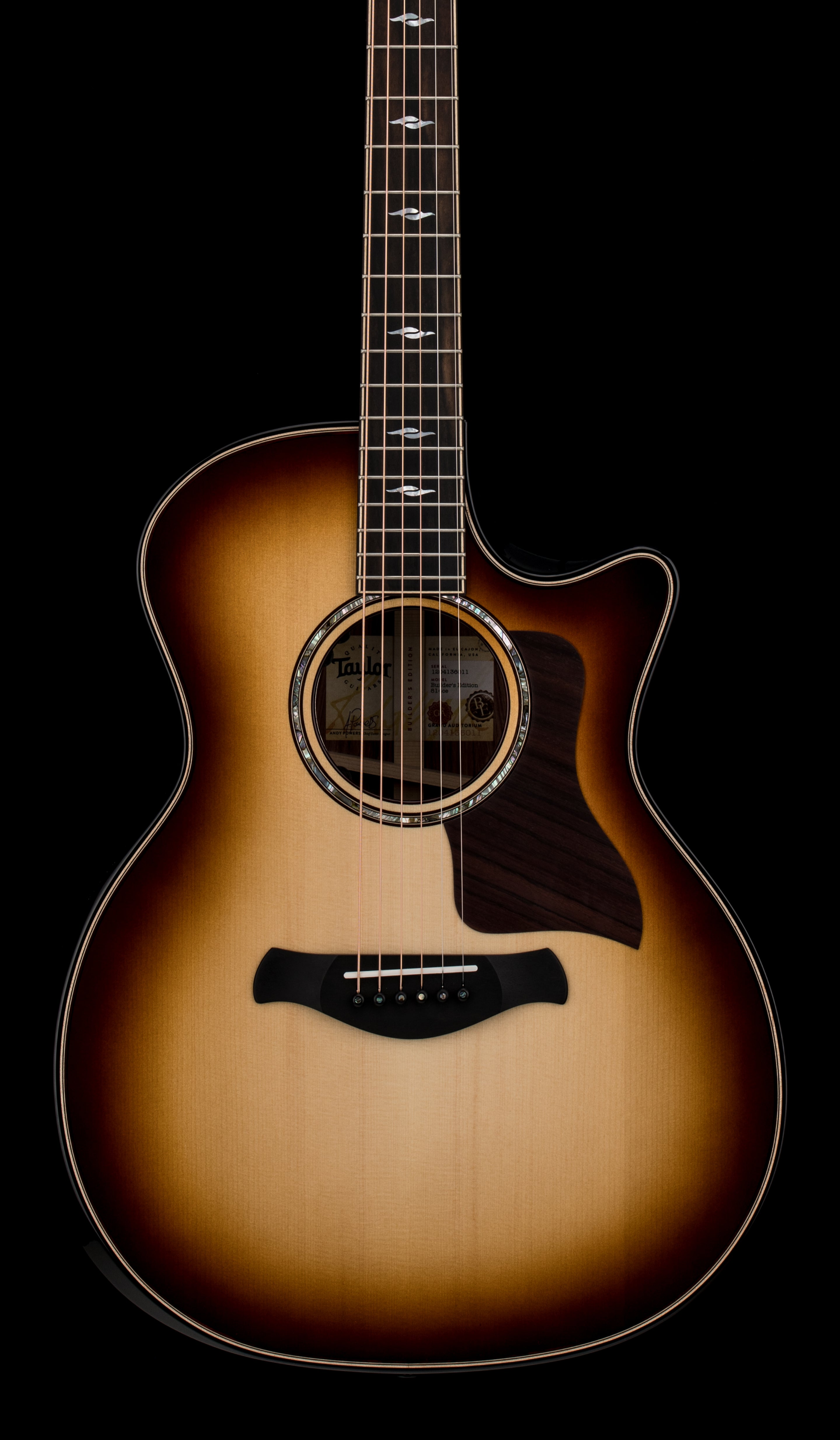 Taylor Next Generation Builder's Edition 814ce Adirondack Spruce