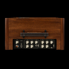 Taylor Circa 74 2-in-1 Acoustic Guitar / Vocal Amplifier + Amp Stand (Demonstration Model) #02772