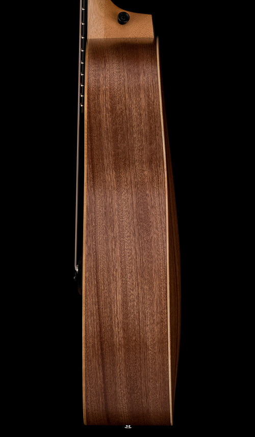 Taylor GS Mini Sapele #36193