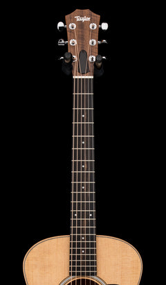 Taylor GS Mini Sapele #06156