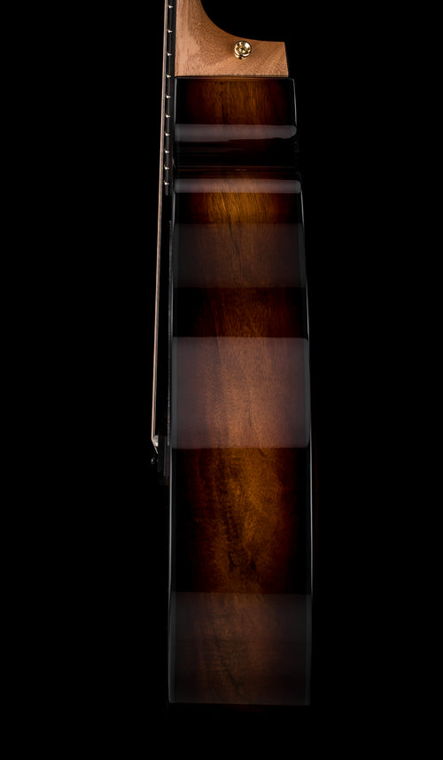 Taylor 224ce-K DLX - Shaded Edgeburst #95337