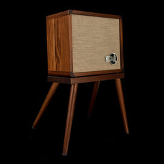 Taylor Circa 74 2-in-1 Acoustic Guitar / Vocal Amplifier + Amp Stand #01421