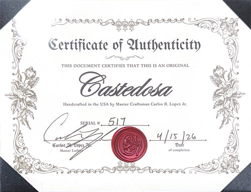 Castedosa Guitars Marianna Semi-Hollow - Aged Surf Green #517