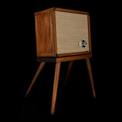 Taylor Circa 74 2-in-1 Acoustic Guitar / Vocal Amplifier + Amp Stand #02105