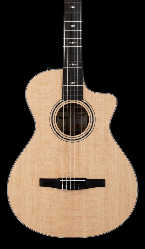 Taylor 312ce-N #25020
