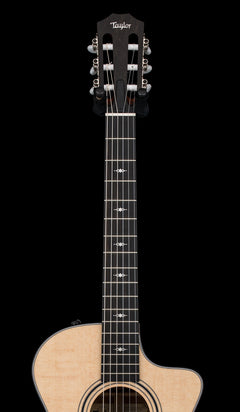 Taylor 312ce-N #25020