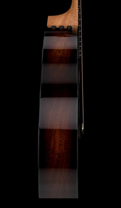 Taylor 224ce-K DLX - Shaded Edgeburst #05302 (Demonstration Model)