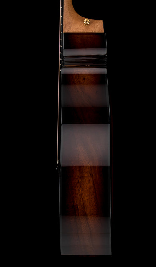 Taylor 224ce-K DLX - Shaded Edgeburst #05302 (Demonstration Model)