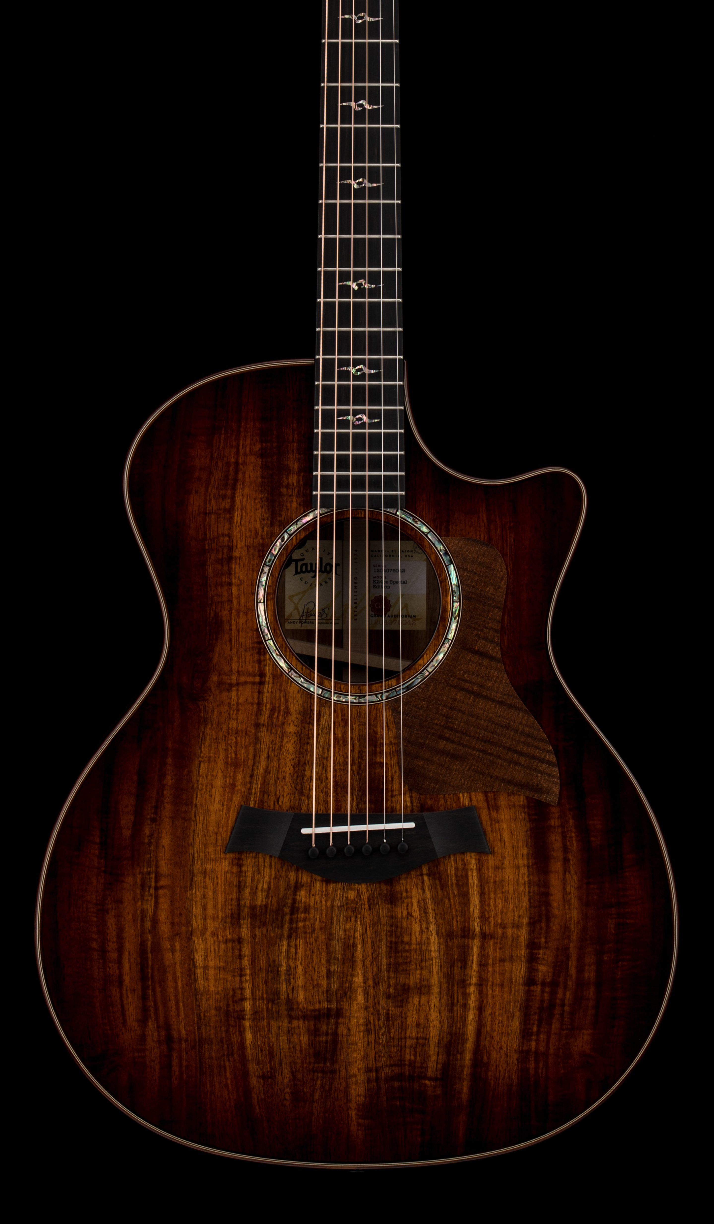 Taylor Next Generation K24ce Special Edition #76042 – Empire Music