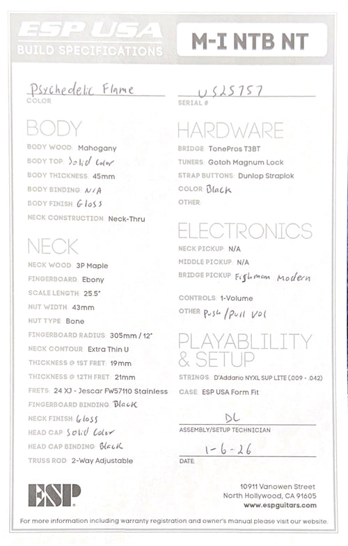 ESP M-1 USA - Psychedelic Flame #25757