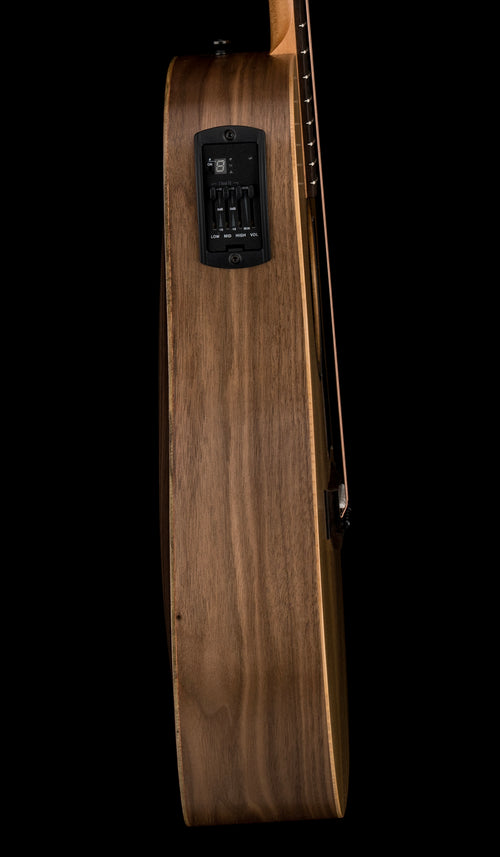 Taylor Big Baby Taylor (BBTe) #26055 (Demonstration Model)