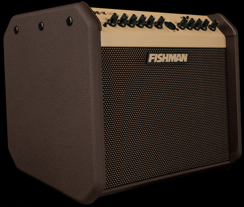 Fishman Loudbox Mini
