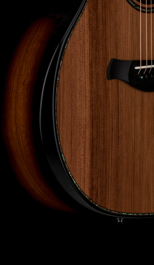 Taylor Next Generation Builder's Edition 914ce Honduran Rosewood/Sinker Redwood #66003