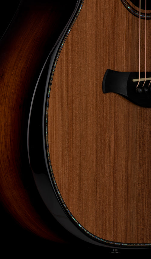 Taylor Builder's Edition 914ce #04006 (Demonstration Model)