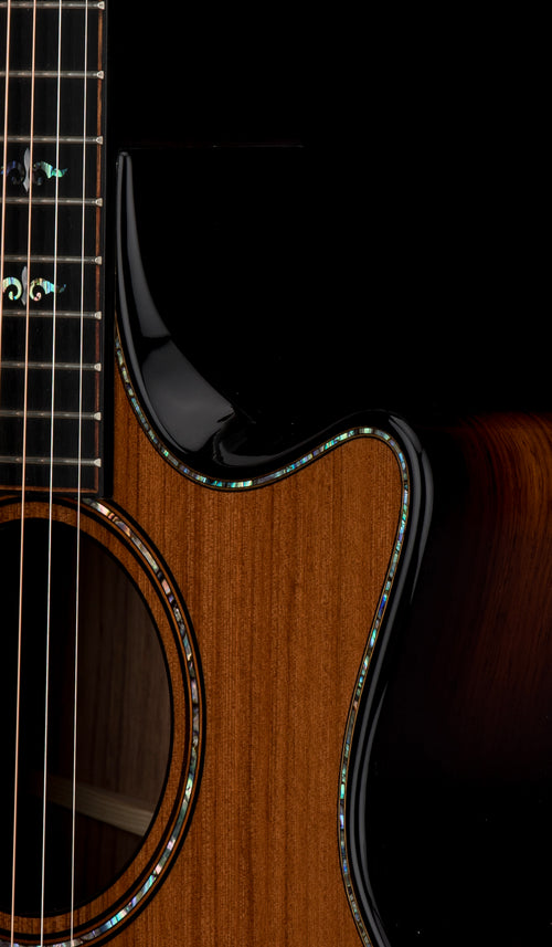 Taylor Builder's Edition 914ce #04006 (Demonstration Model)