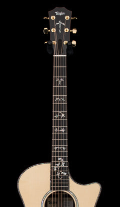 Taylor Legacy 914ce #65095