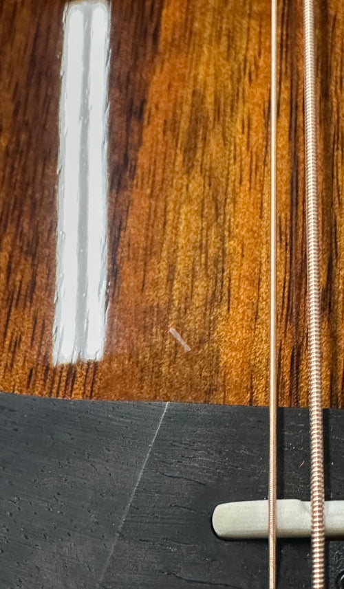 Taylor 264ce-K DLX #35492 (NAMM 2026)