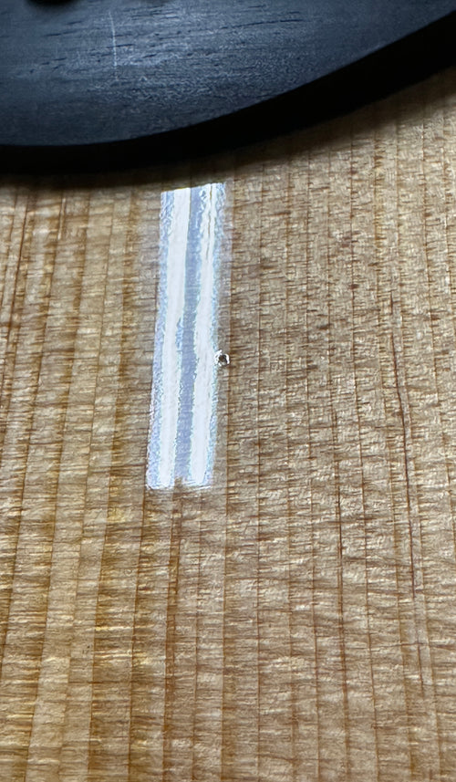 Taylor 214ce Plus #65488 (Demonstration Model)