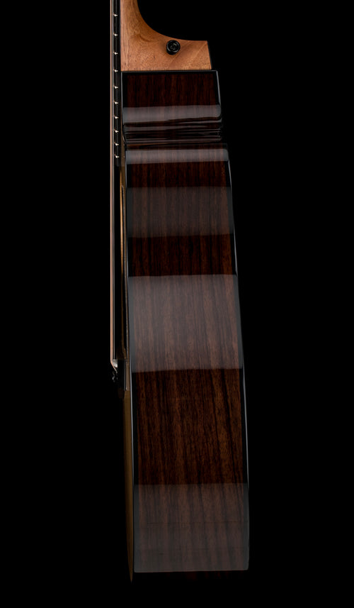 Taylor 214ce Plus #65488 (Demonstration Model)