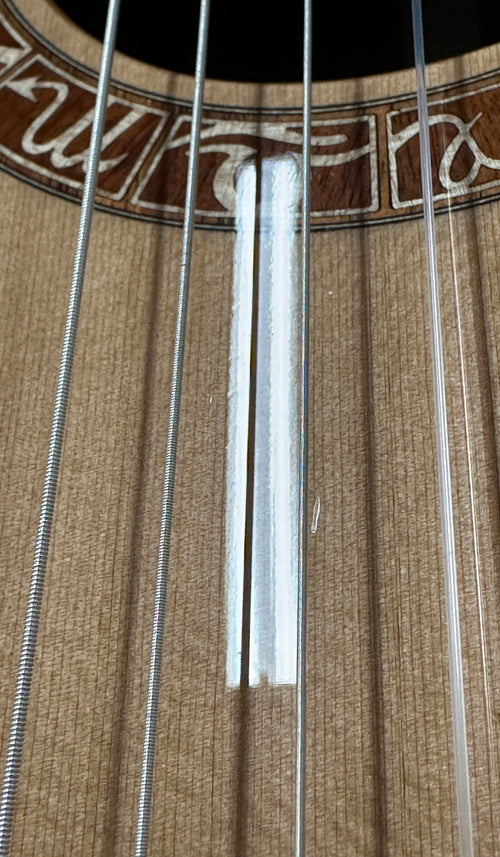 Taylor Jason Mraz Signature JMSM #25022 (NAMM 2026)
