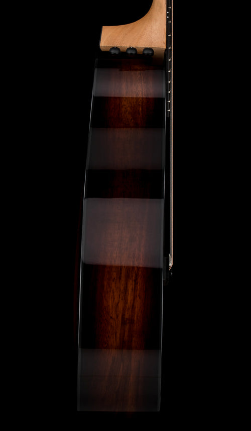 Taylor 224ce-K DLX - Shaded Edgeburst #05321 (Demonstration Model)