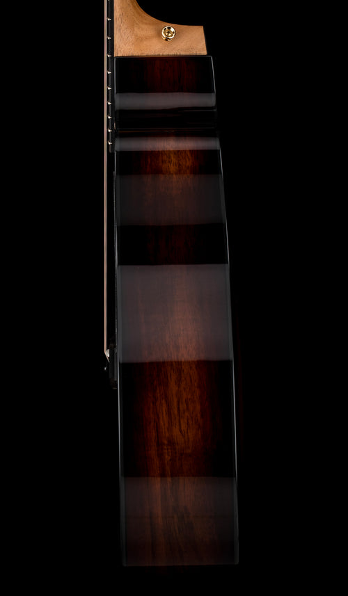 Taylor 224ce-K DLX - Shaded Edgeburst #05321 (Demonstration Model)