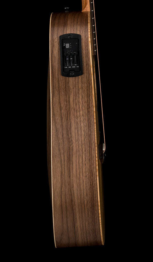 Taylor Big Baby Taylor (BBTe) #36085 (Demonstration Model)
