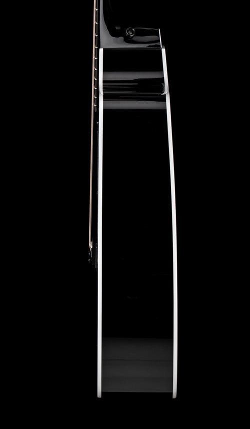 Taylor 250ce-BLK Plus #74423 (NAMM Demonstration Model)