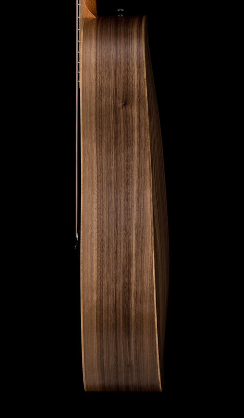 Taylor Big Baby Taylor (BBTe) #26065 (Demonstration Model)
