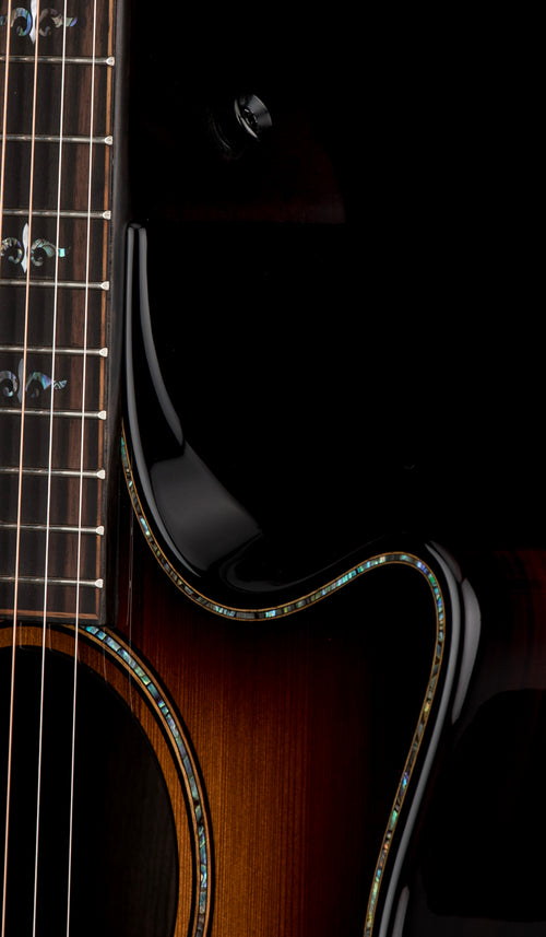 Taylor Builder's Edition 914ce LTD Macassar Ebony #36089