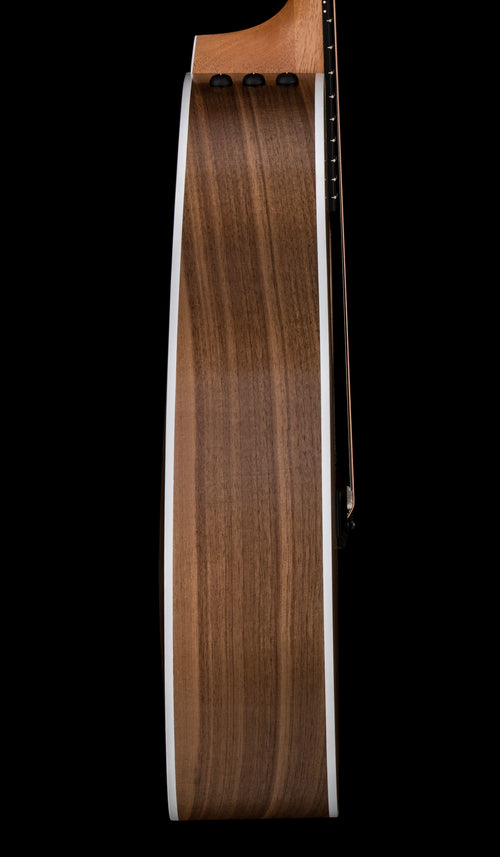 Taylor 214ce #56287 (Demonstration Model)