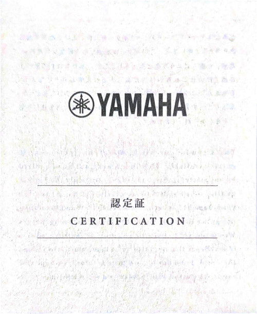 Yamaha FG9 M #ILK070A