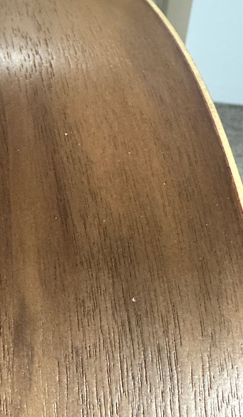 Taylor BBTe #45027 (Demonstration Model)