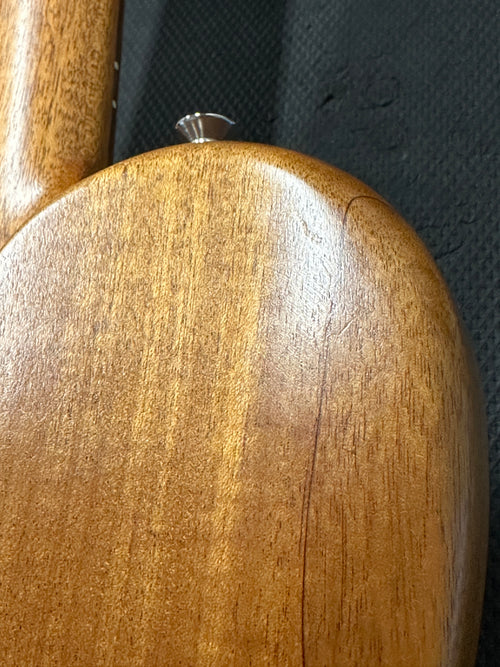 Used Alien Audio Lunar Double P 5-String - Natural #10207 with Gig Bag