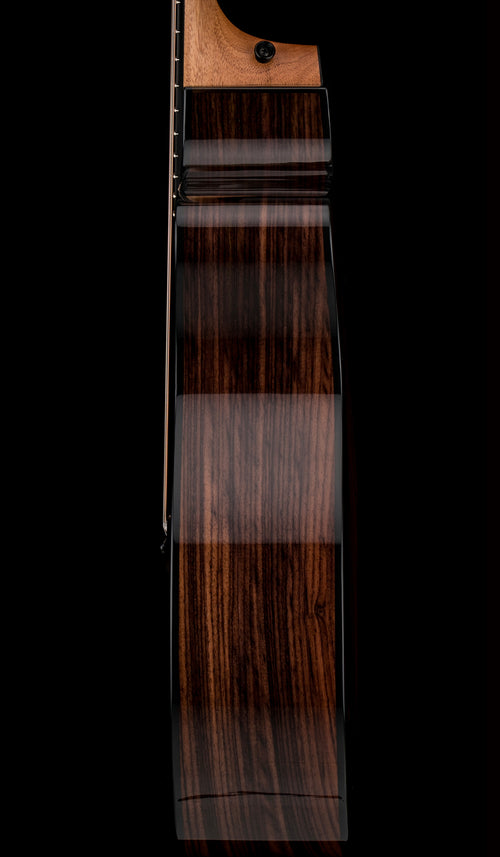 Taylor 214ce Plus #06358 (Demonstration Model)