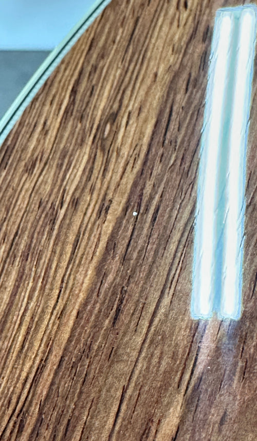 Taylor Gold Label 817e - Natural #85047 (Demonstration Model)