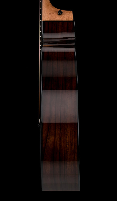 Taylor 214ce Plus #95206 (Demonstration Model)