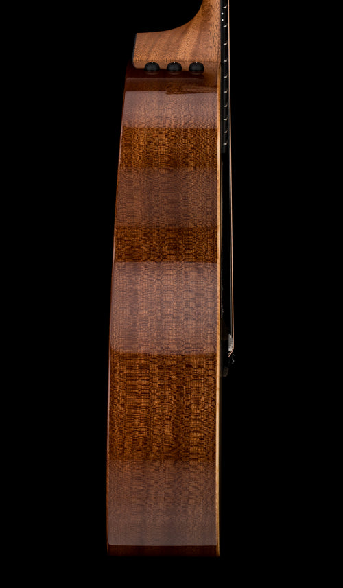 Taylor 314ce Studio #75287 (Demonstration Model)